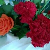Anasalomar (@anasalomar1) 's Twitter Profile
