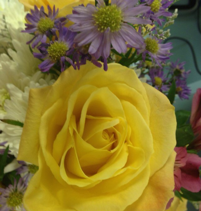 Qtisa's profile picture. 