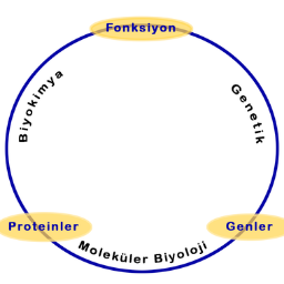 #biyologsuzolmaz