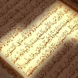 Dona_payne's profile picture. #Directioner/#Mahomie/#Overloader /Overload&Aasia Malik followed :) /Joey called me love u lots