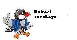 JUAL PERDANA BLACKBERRY,,PERDANA INTERNET,,POWER BANK,,BATERAI DOUBLE POWER
