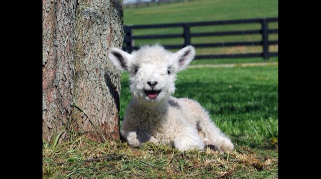 bigbandbyrne's profile picture. Big band guy from Cork living in Leeds.