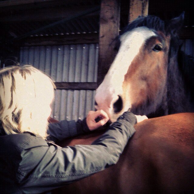 Treating lovely people and their horses throughout Dorset.  Love the results we get from the gentle therapy that is Bowen Technique.