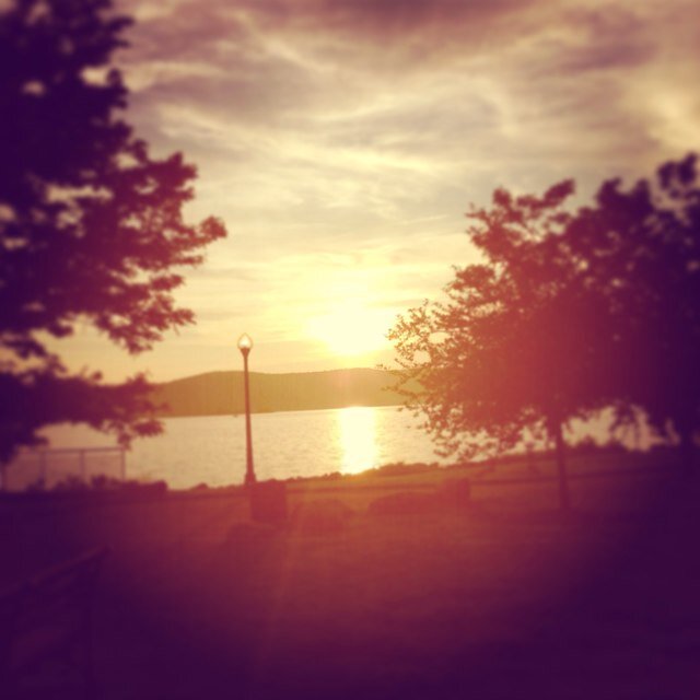 angesemi's profile picture. 