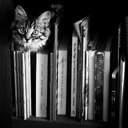 É bom ter livros de citações. Gravadas na memória, elas inspiram-nos bons pensamentos.