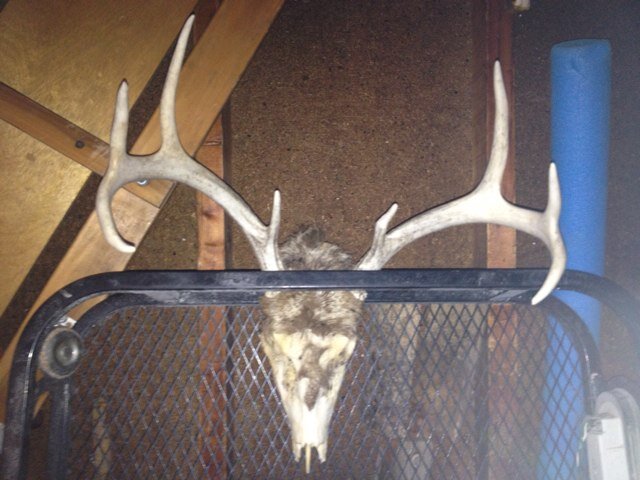 I love God,my wife and kids hunting and fishing only in the USA