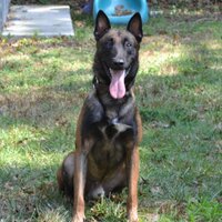 G Mackey (@k91732) 's Twitter Profile Photo G Mackey (@k91732) 's Twitter Profile Photo
