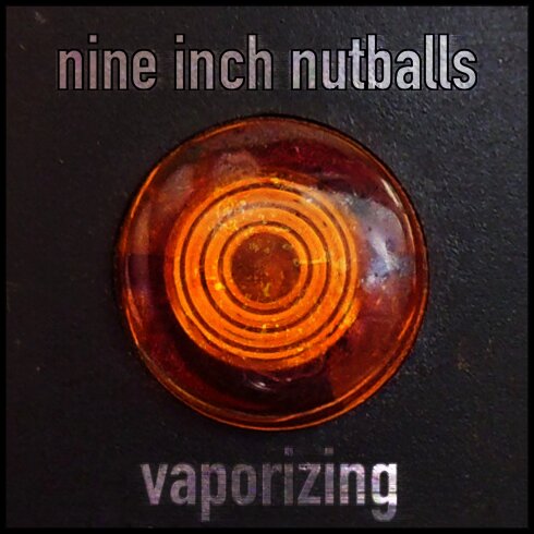 Trent Resin of Nine Inch Nutballs. Inspired by Trent Reznor and Nine Inch Nails.