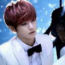 ♥♥비스트바라기♥♥ (@0100442) Twitter