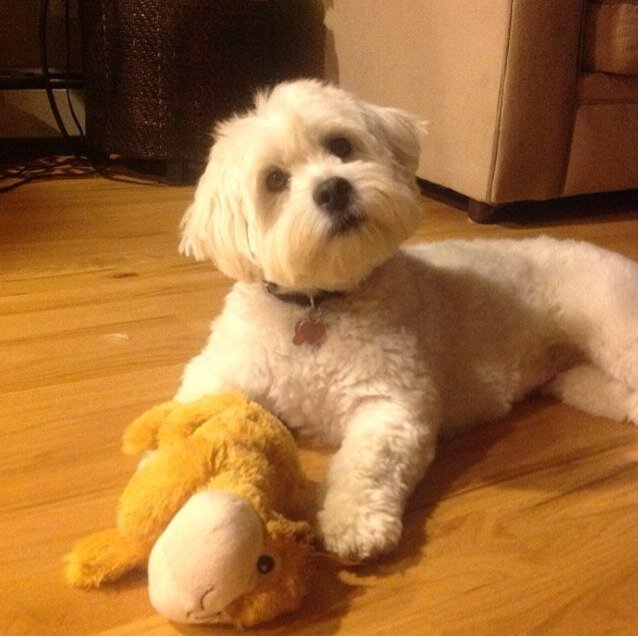 LisaMcArdle1's profile picture. 