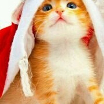 ももか