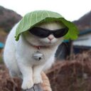 ゆきの (@05Reo) Twitter