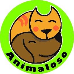 MAS QUE UNA TIENDA DE MASCOTAS EL LUGAR PERFECTO PARA EL BIENESTAR DE TU MEJOR AMIGO. CONSULTA MÉDICA, HOSPITALIZACIÓN, EMERGENCIA,  FARMACIA , ACCESORIOS Y MAS