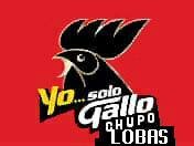 Soy divertido, alegre.. M enknta hacer otras amistades.. Etc. 236E6628