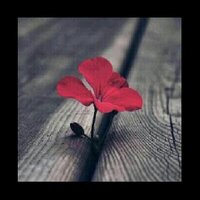 ‏هُناگ فَرٍق (@abualia3a) 's Twitter Profile