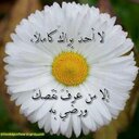 تم تغير الحساب (@13Vfn) Twitter