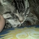 Jenni Meyer - @kayia1995 - Twitter