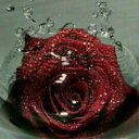 ريحونتي (@09873Raya) Twitter