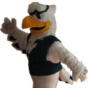 Freddy Falcon - @WC_FreddyFalcon - Twitter