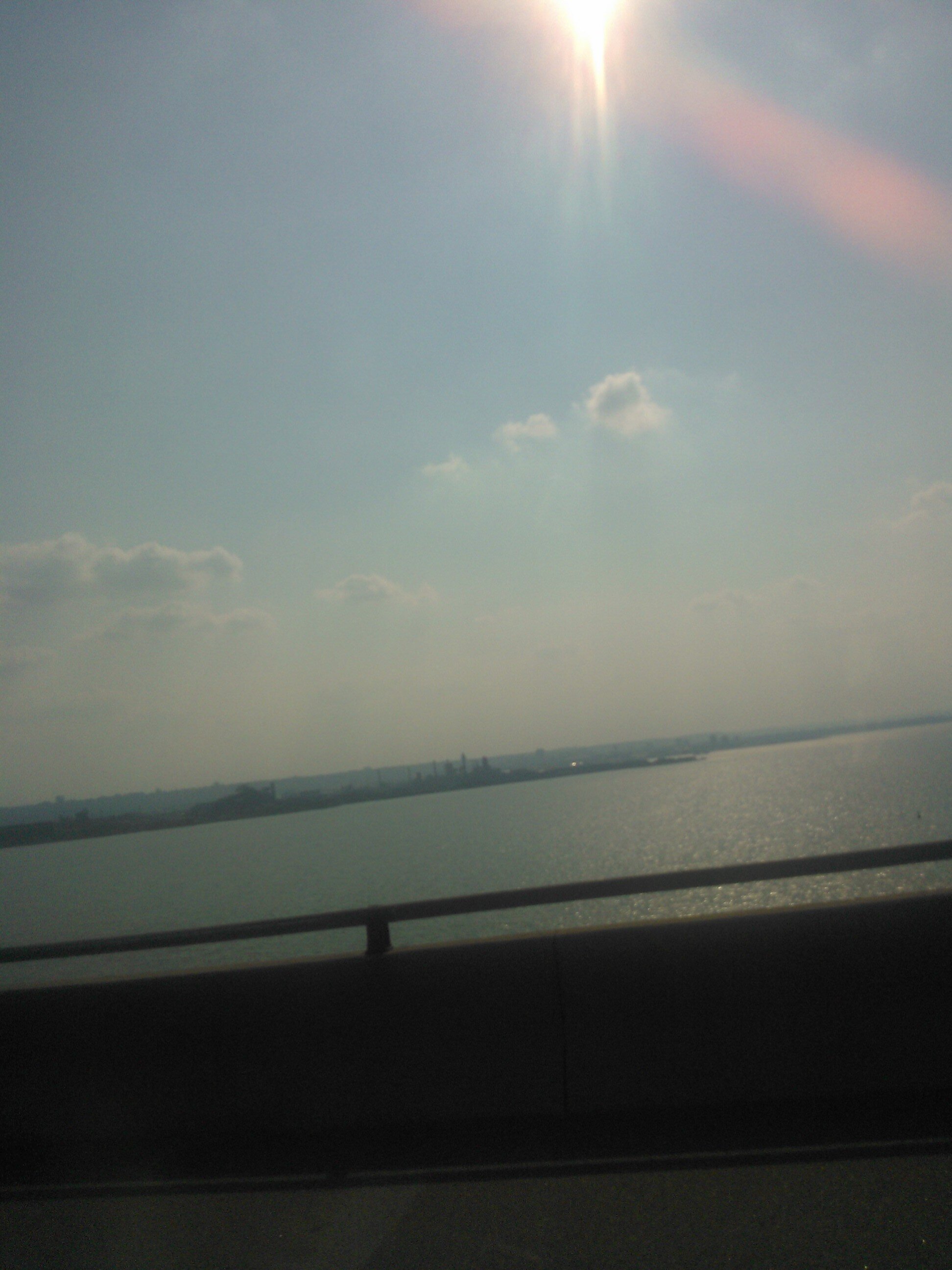 SpononoLee's profile picture. 