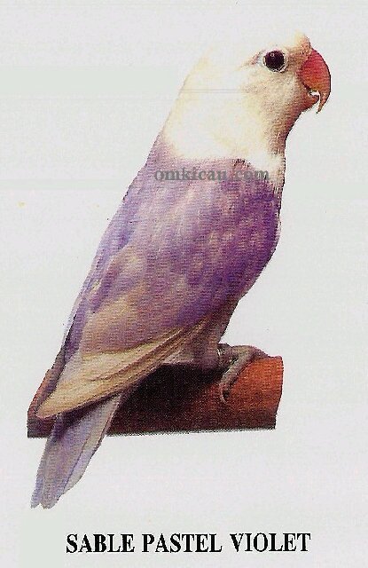 Ivan_in83's profile picture. 