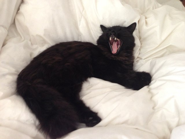 AliskaBariska's profile picture. 