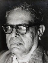 Indian Historian, Indologist, Epigraphist, Writer, Intellectual, Polyglot.