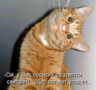 Если не все еще потеряно, значит, найдется что делить.