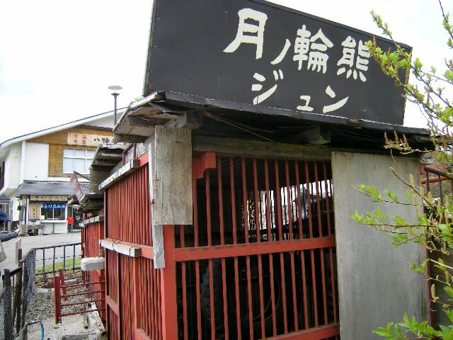 バイク、ツーリング、フライフィッシングをはじめとした釣り全般、キャンプが好きで、どちらかというとアウトドア派です。バイクは大型でなければ基本的なメンテナンスや修理は自分でやります。大型はショップ頼みですが… アウトドア派とはいえ、インドア的なレジャーの将棋も好きです。あと、ギターも好きです。小さい頃からサッカーのキ