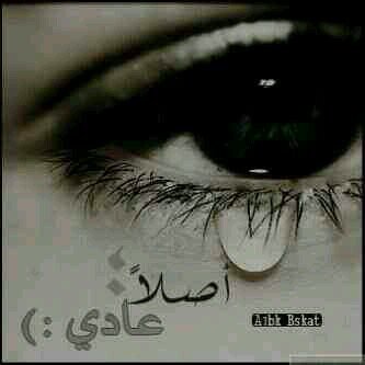 ‏‏‏‏محمد الزےن مگہ  ♡عاشق♥المستحيل♡