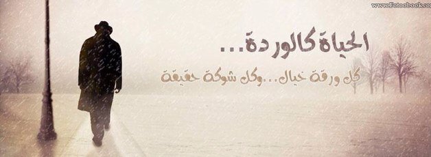 وكلُّ الناس يا أمي مياهٌ   ووحدكِ زمزمٌ يروي فؤادي أحبك يا أمي حباً عظيماً يُضاعف كل يوم بازديادِ…