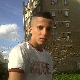 rekin du luth  Profile