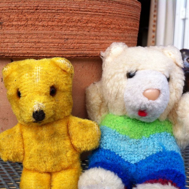 teddyandroger's profile picture. #freenazarin #blm #fbpe #fbppr XR Climate change #wokerati #standwithUkraine