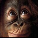 BARBARA PELLERITO - @BPELLERITO - Twitter