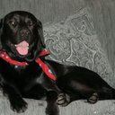 Oliver Berger - @MagdaElbe - Twitter