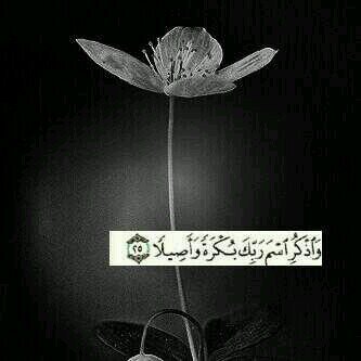 ‏‏‏‏‏‏الحمدالله .. ♡                                                                    ارض بمآ قسمہ اللہ لكك ، تكن أغنى النآسس ..