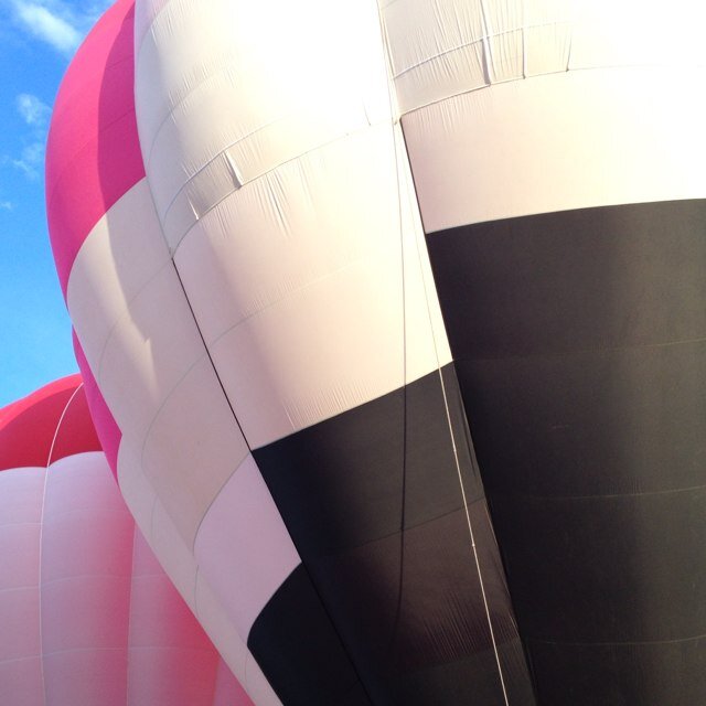 Irefuse2bold's profile picture. 