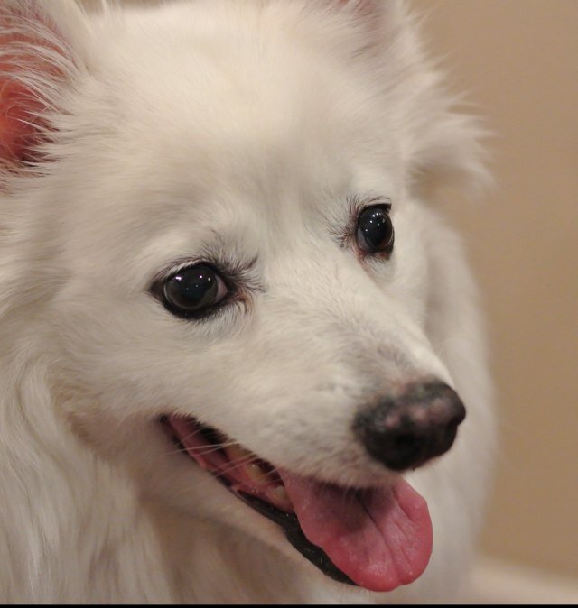 Kodibr3's profile picture. 