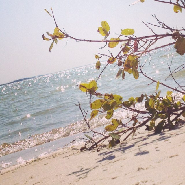 AlternaCareer's profile picture. 