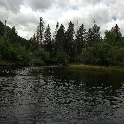 JCman121's profile picture. 