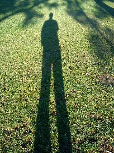 ectomorph and professional administrator