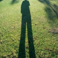 David Watson (@davidwatson77) 's Twitter Profile
