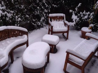 chevallierpc's profile picture. 