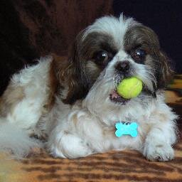 mdjcooper's profile picture. Enjoy life to the full while you can