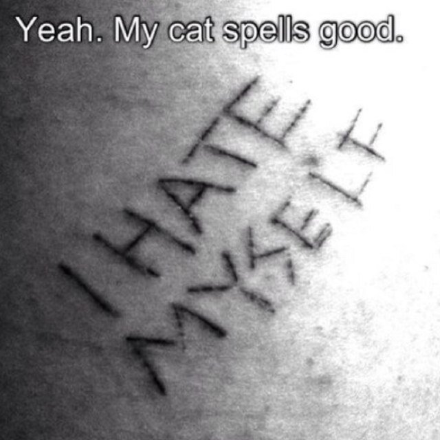 I have selfharmed in the past... I dont want to in the future...