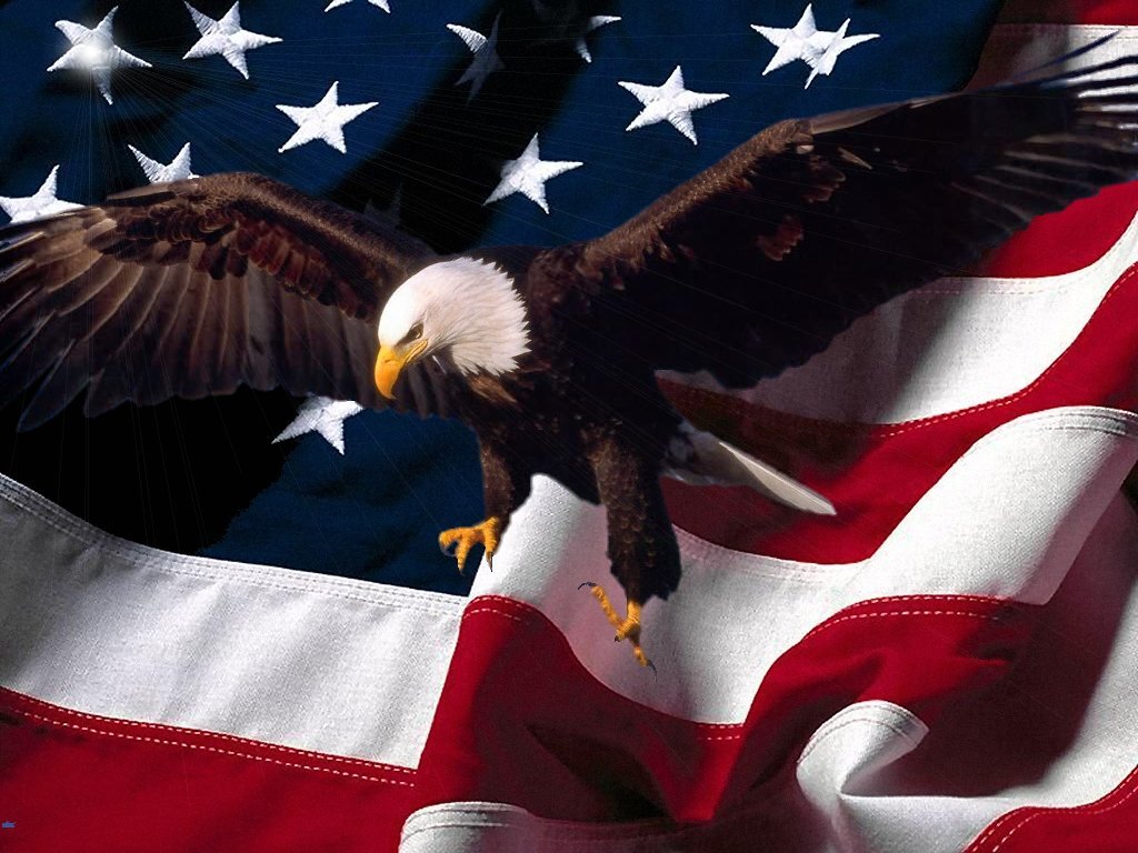 ProcurementPros™ is a small business advocate dedicated to helping our clients become more competitive in the federal contract marketplace. 855-858-PROS