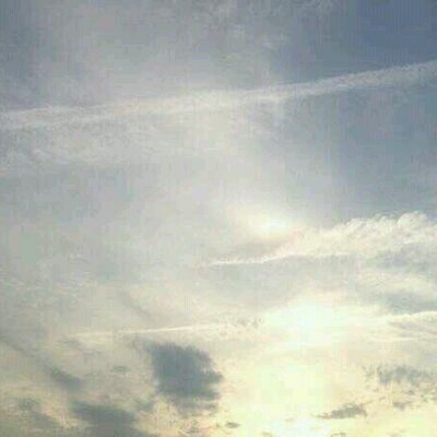 DAIの吐きどころ
