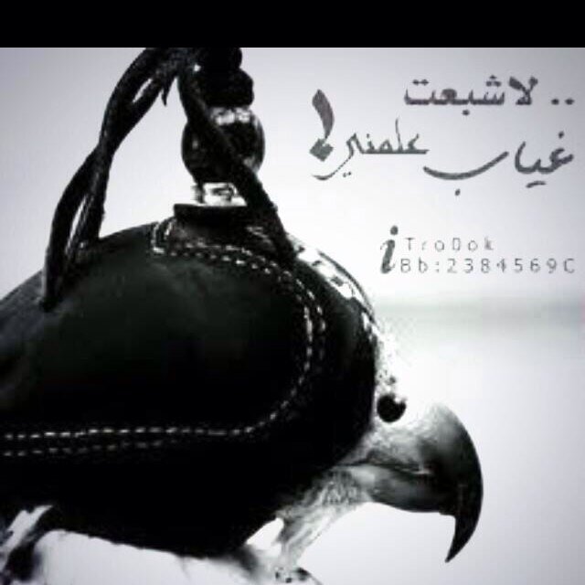 محمد فهيد الرشيدي.. رفحاء. القصيم.