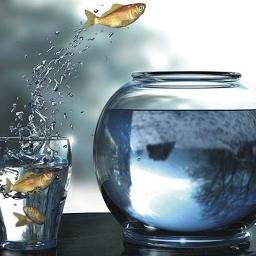 eriseris22's profile picture. man jadda wajada!