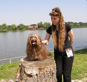Hi everybody!  Bichon Havanese and Little Lion Dogs  Thank you for your visiting.  http://t.co/B6rmai2UIa  http://t.co/XPGIbcCNuX